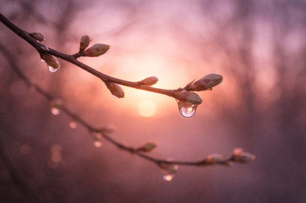 Una storia d’amore